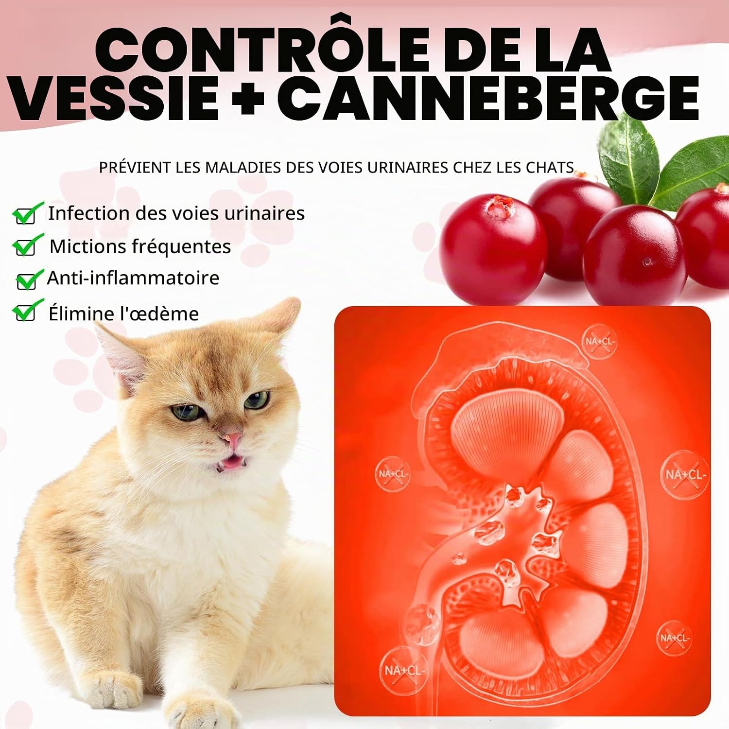 Thumbnail 1 de RoongDuuDll ND-CAT-02 urinewegendruppels voor katten, 60 ml
