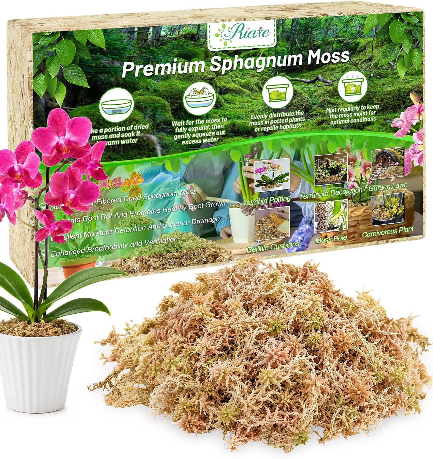 Detalle de Riare Natürliche Terrarium Moos 5.3 oz Sphagnum Moss, Long-Fibre Block
