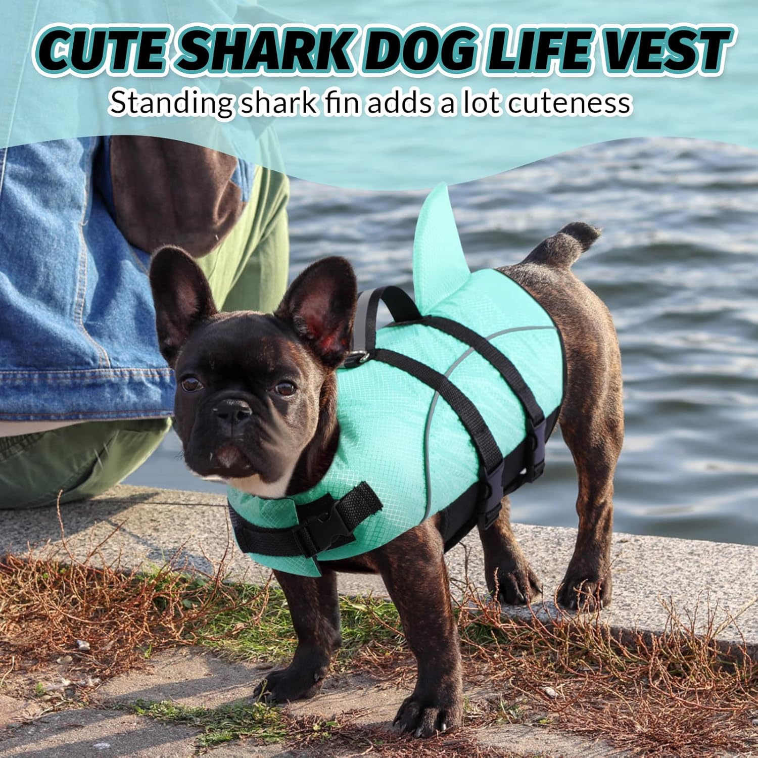 Detalle de Queenmore Ripstop Dog Life Jacket Shark Life Vest – XS Light Blue for Small/Medium Breeds