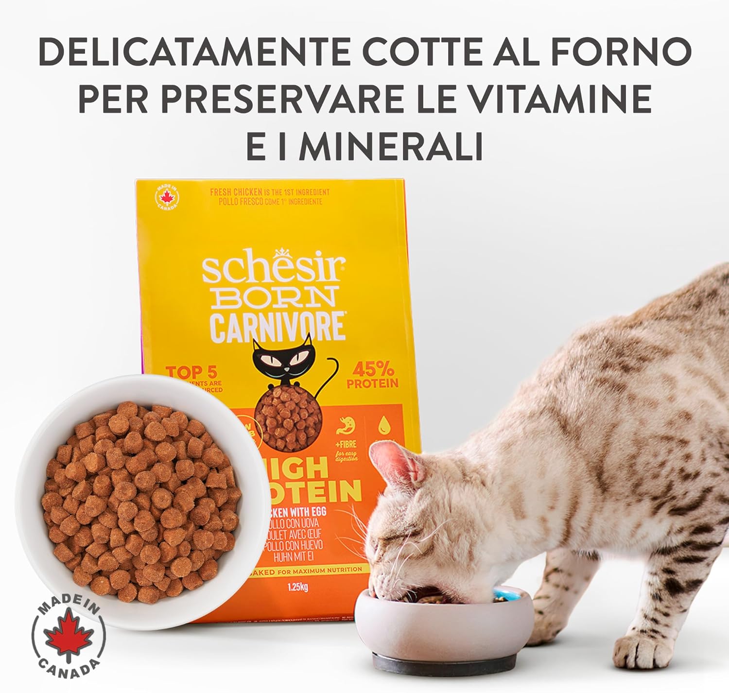 Detalle 2 de Schesir Born Carnivore Pollo e Uovo – Crocchette al forno per Gatti adulti, 1,25 kg