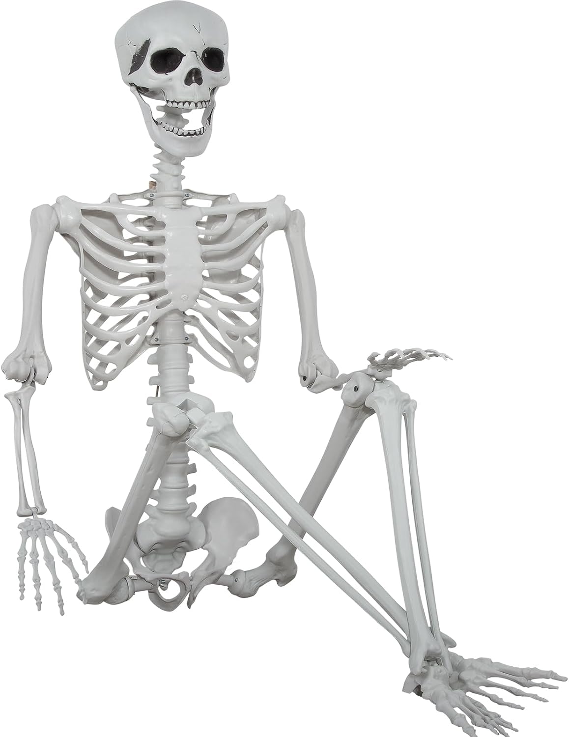 Detalle de XONOR 180cm-GJZ Life-Size Plastic Skeleton with Movable Joints