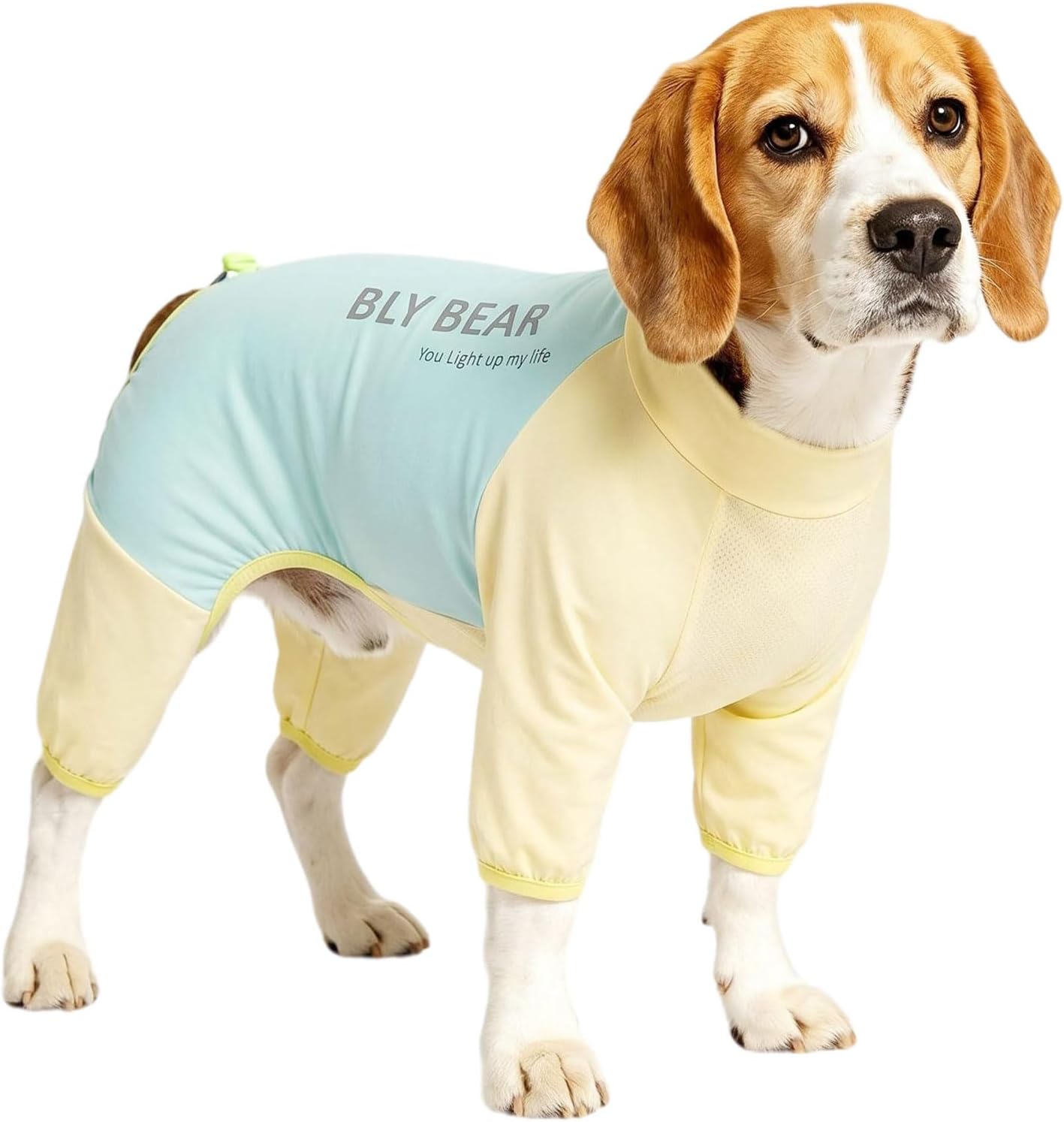 Detalle de Anlitent Dog Cooling Jumpsuit for XXL Dogs (7.5–10kg) – Mint Green, UPF50+ Summer Tee
