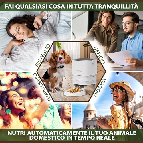 Thumbnail 3 de SYBILPET Distributore Automatico Cibo per Gatti e Cani di Taglia Piccola – 4L, App e Messaggio Vocale