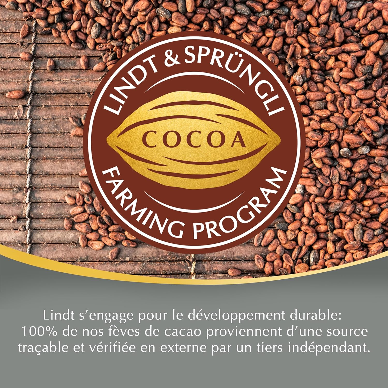 Thumbnail 6 de Lindt Sachet Grand Format LINDOR 1 kg 🍫