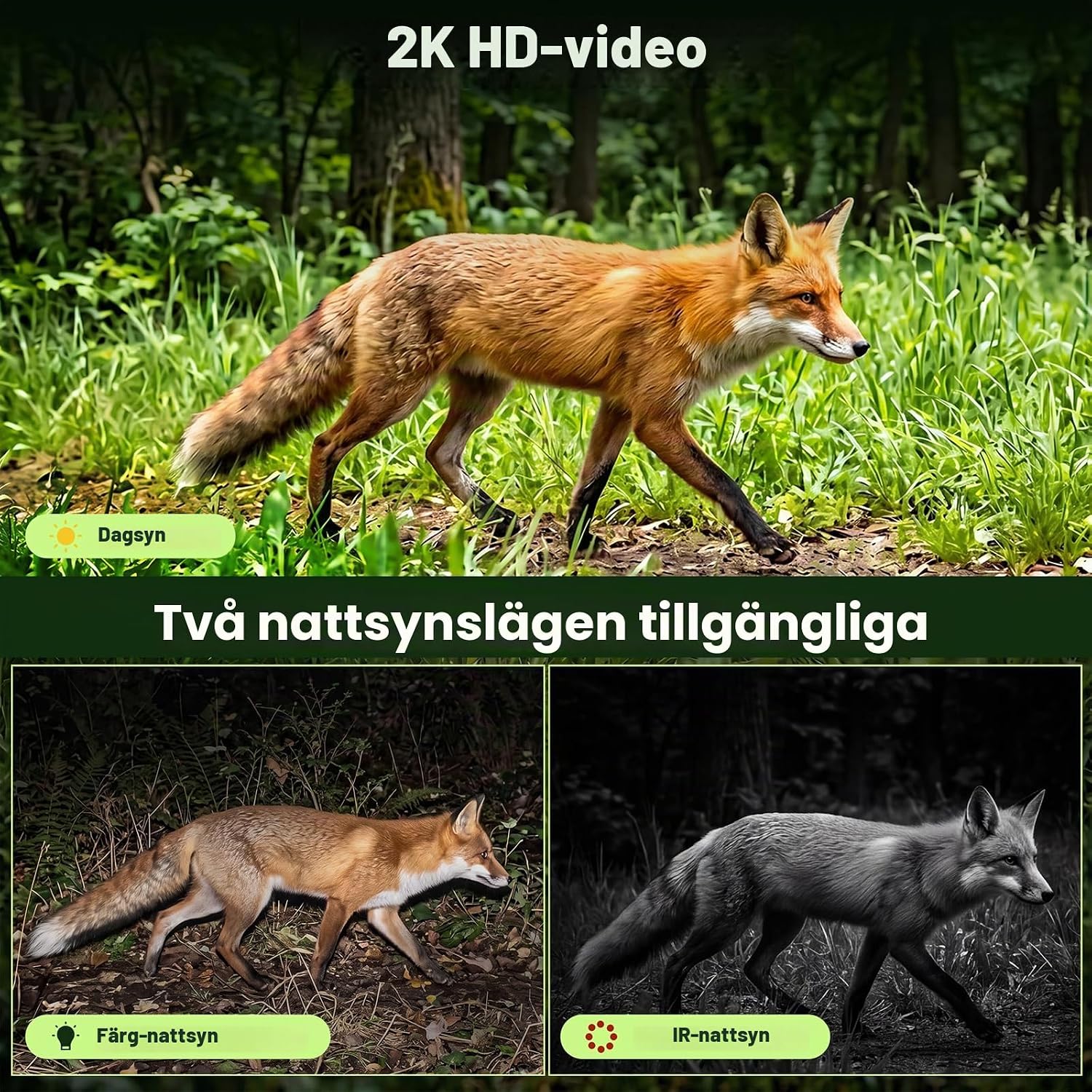 Detalle 1 de Lemnoi 4G-jaktkamera med 2K-färgseende, solpanel och personföljning