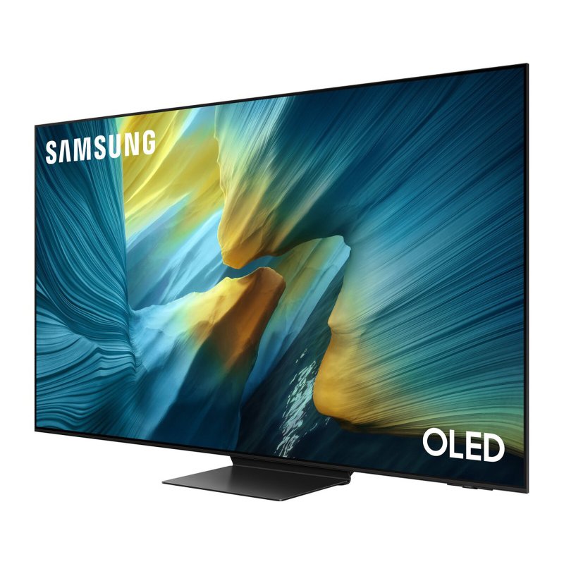 Detalle 2 de Samsung OLED TQ55S95FATXXC 55" 4K: análisis práctico para compradores atentos