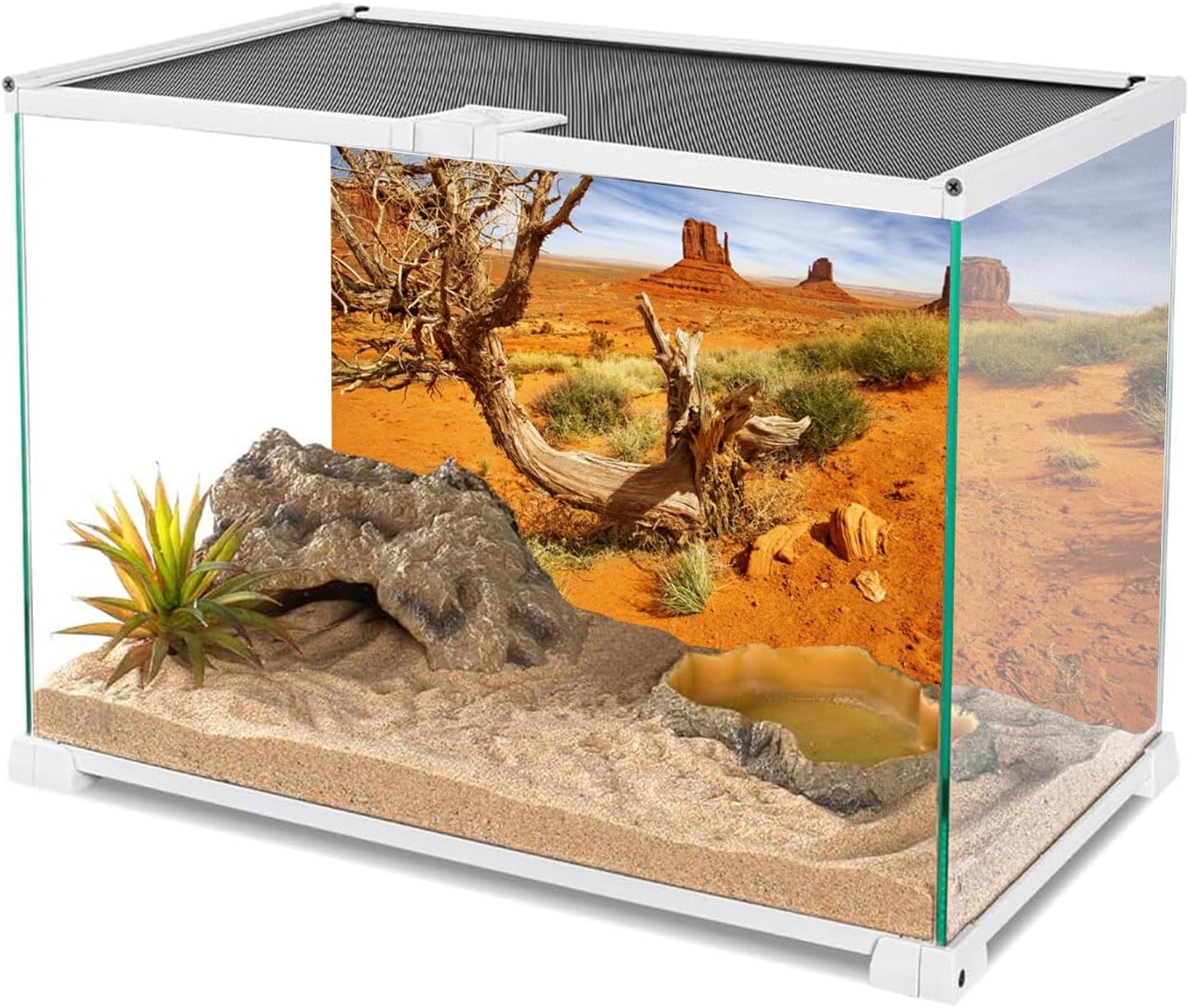 Detalle de AWERT Terrarium Backdrop 48x20 in