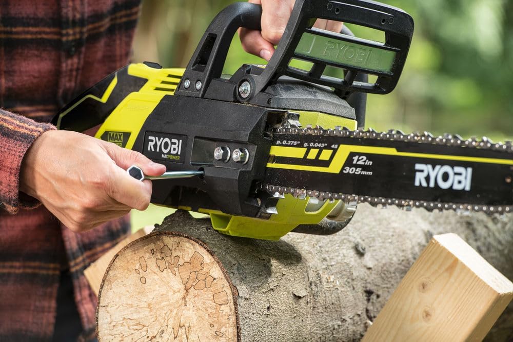 Detalle 2 de RYOBI RAC255 Catena 40 cm per motoseghe