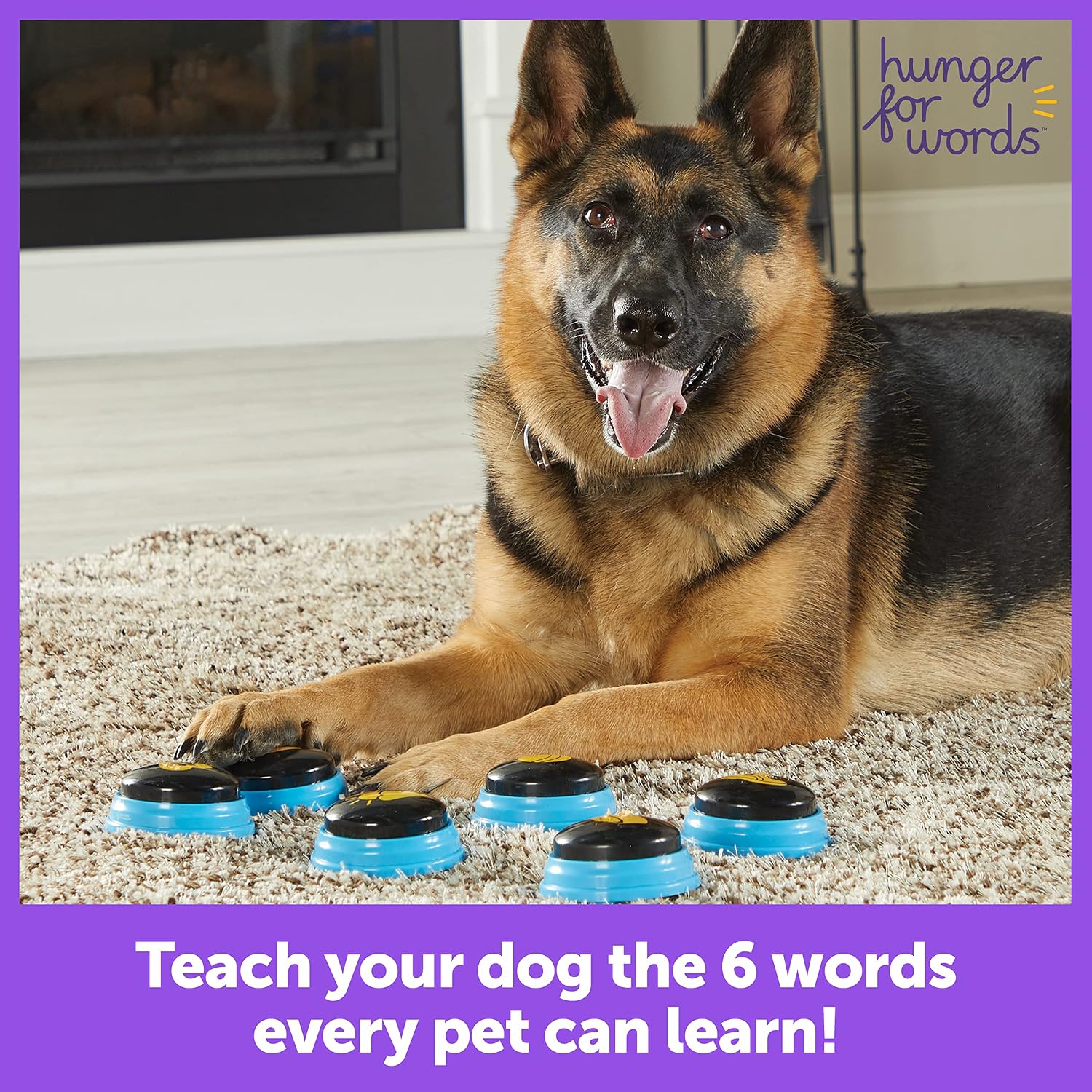 Detalle de Hunger for Words Talking Pet Essential Words - 6 Piece Set Pre-Recorded Speech Buttons for Dogs