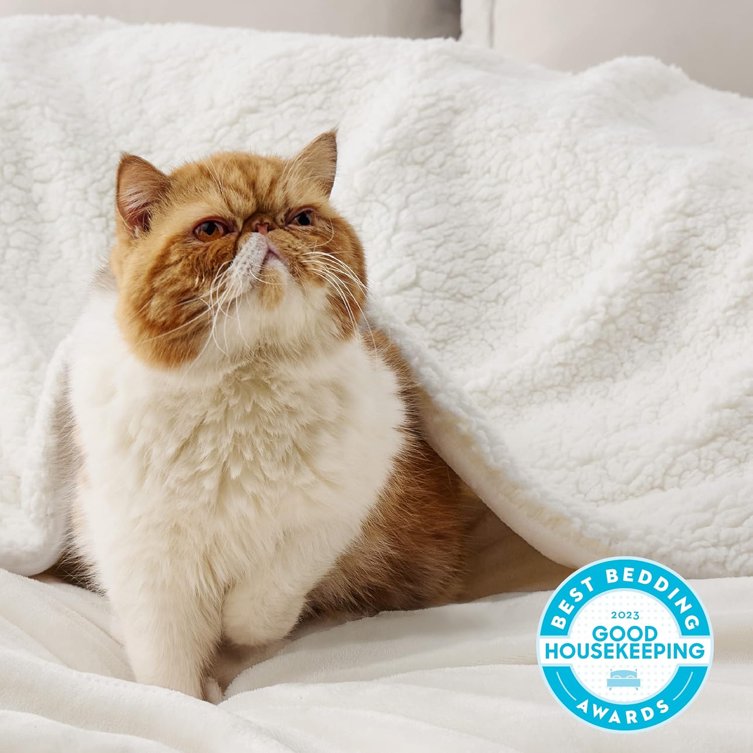 Detalle 2 de Bedsure Sherpa Fleece Throw Blanket 220x240cm