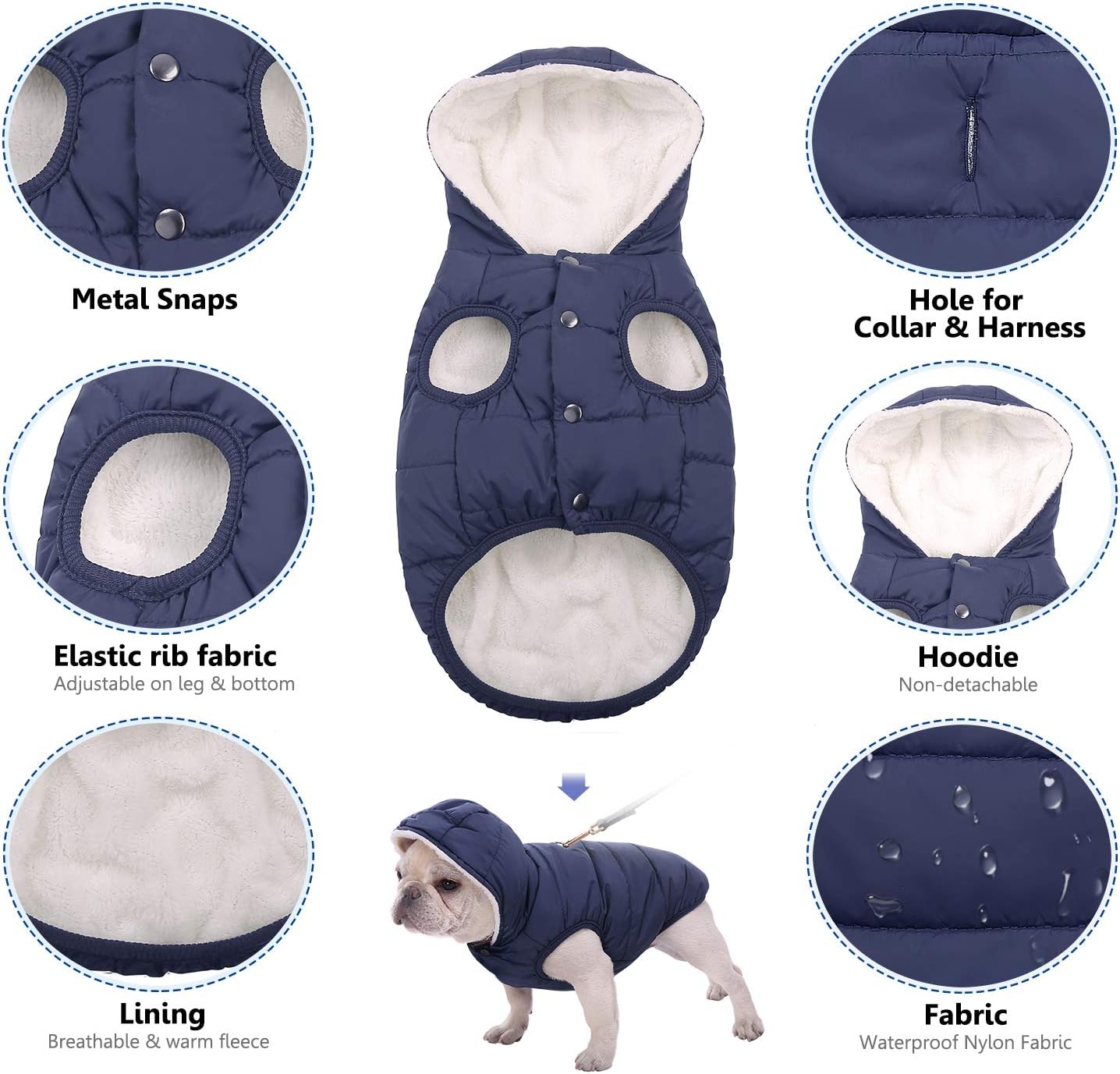 Detalle 2 de SAWMONG Dog Hoodie Blue M Winter Coat with Fleece Lining, Hood and Leash Hole