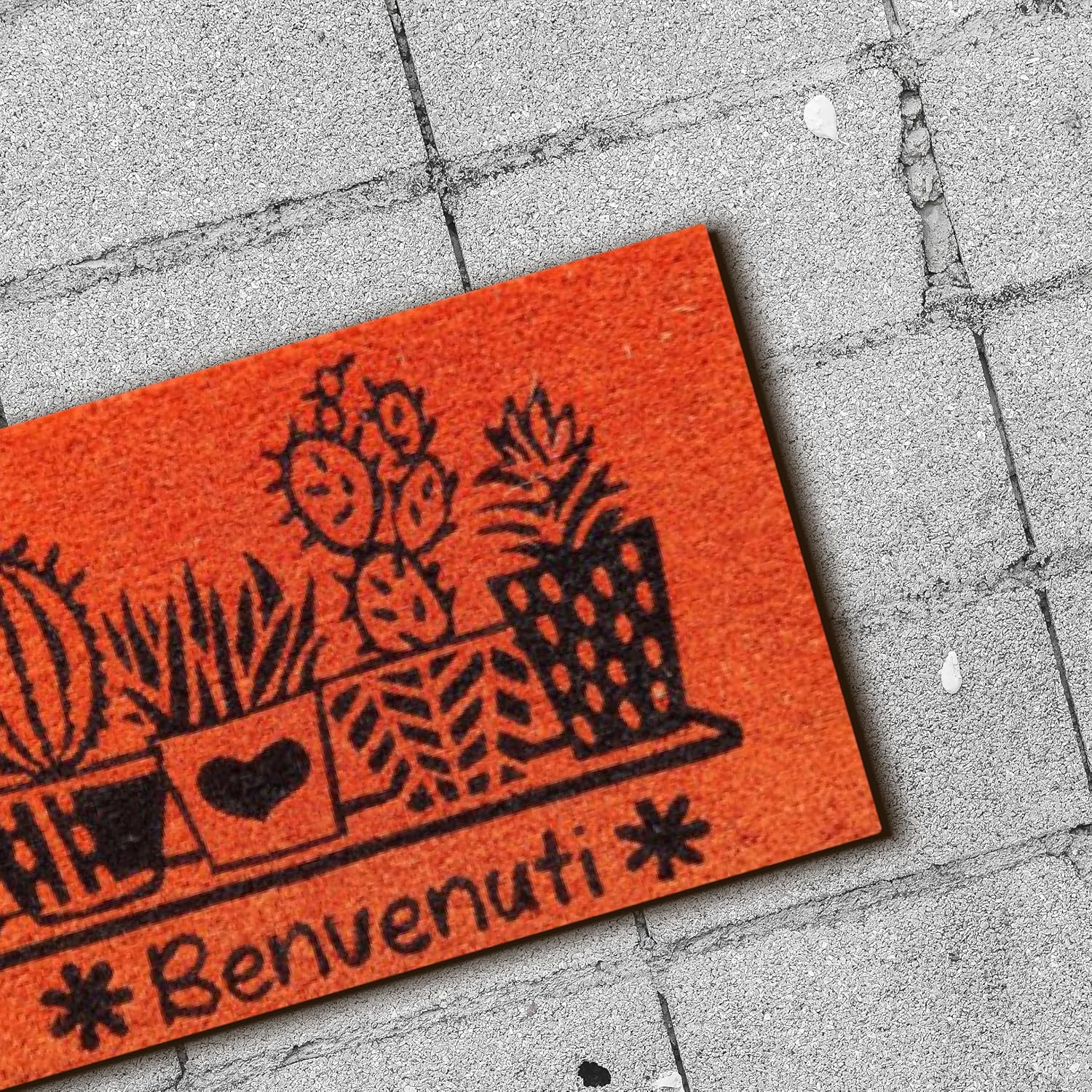 Detalle 2 de Baroni Home Zerbino Ingresso Casa in Fibra di Cocco Dipinto a Mano – 60x38 cm, Arancione (Zerbino con Cactus)
