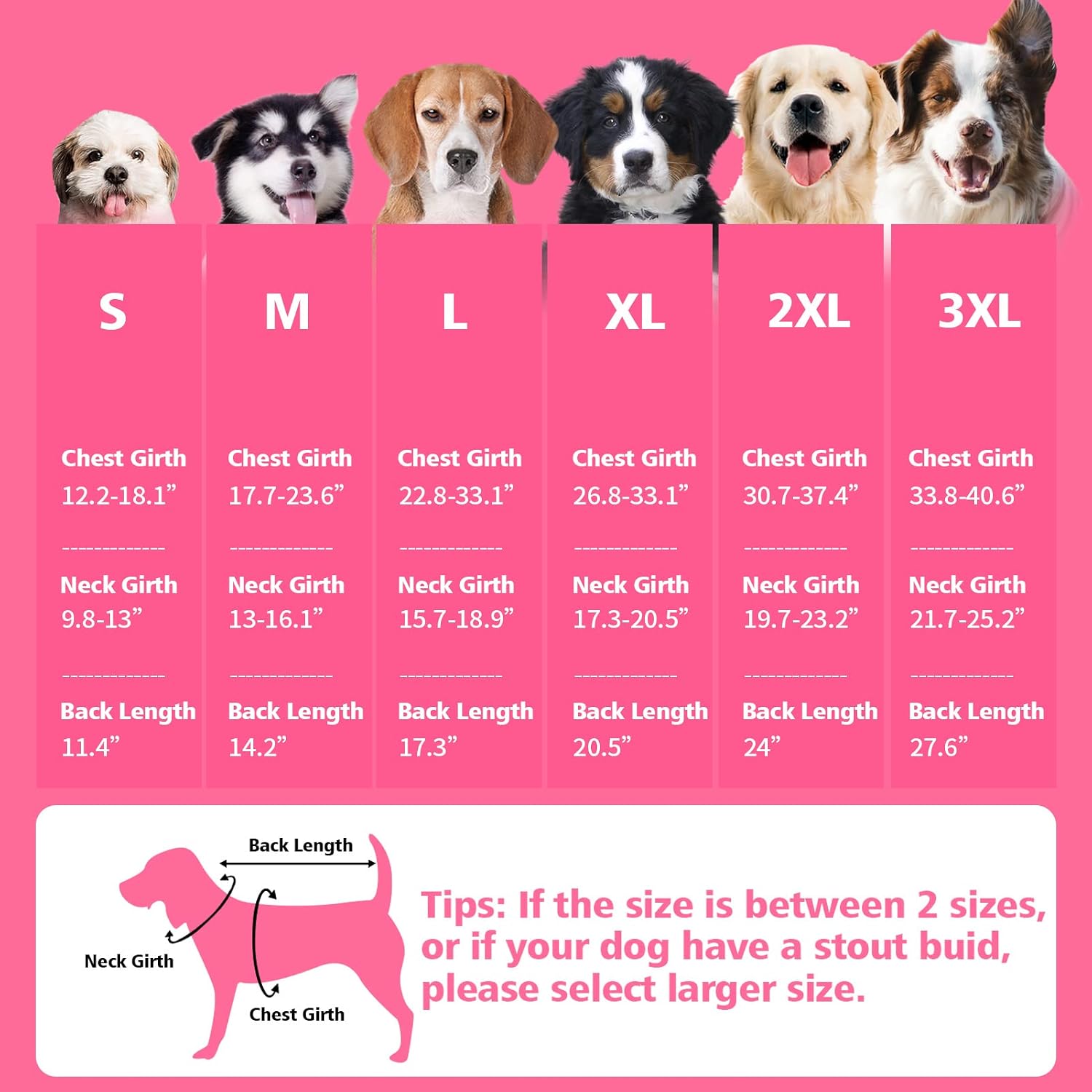 Detalle de Fragralley Dog Coat, 3XL