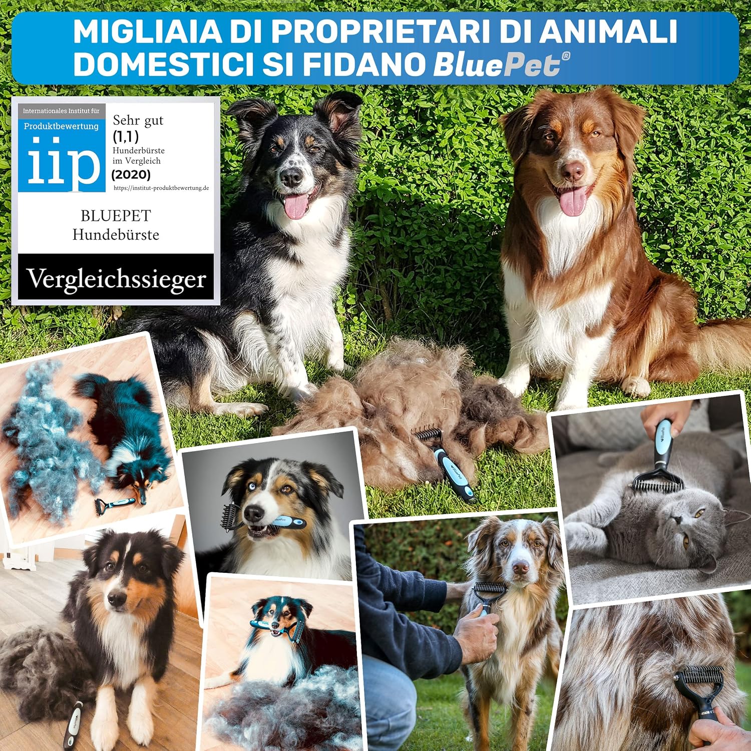 Thumbnail 4 de BluePet Spazzola M-L per cani e gatti