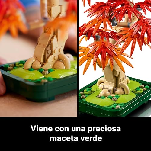 Thumbnail 4 de LEGO Botanical Bonsái Arce Rojo Japonés 🌳 Regalo Decoración