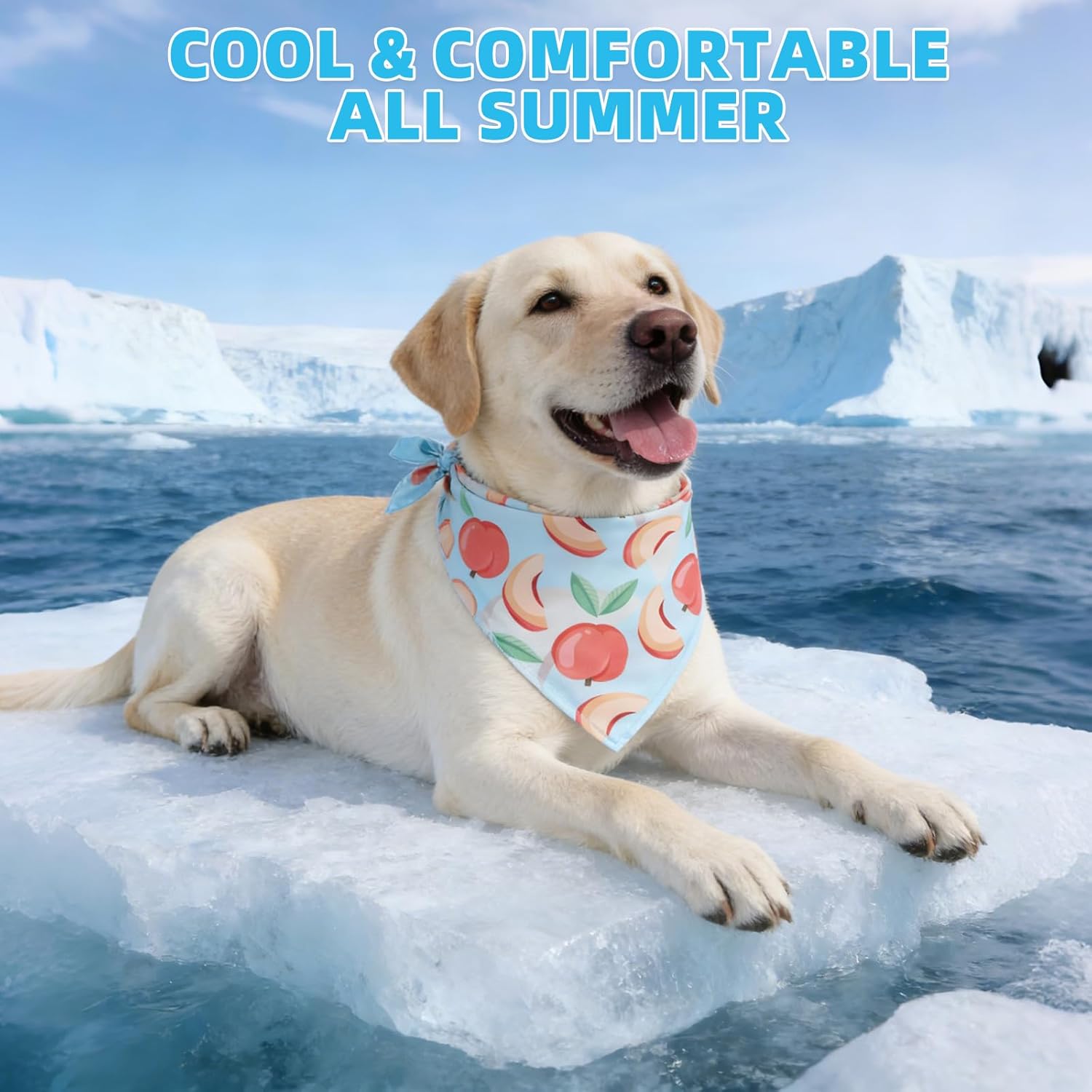 Detalle de KOOLTAIL Dog Cooling Bandana Set (4 Packs) – Instant Summer Relief for Pets