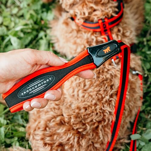 Detalle 1 de Ferplast Ergocomfort Correa Acolchada para Perro 🐶 120 cm