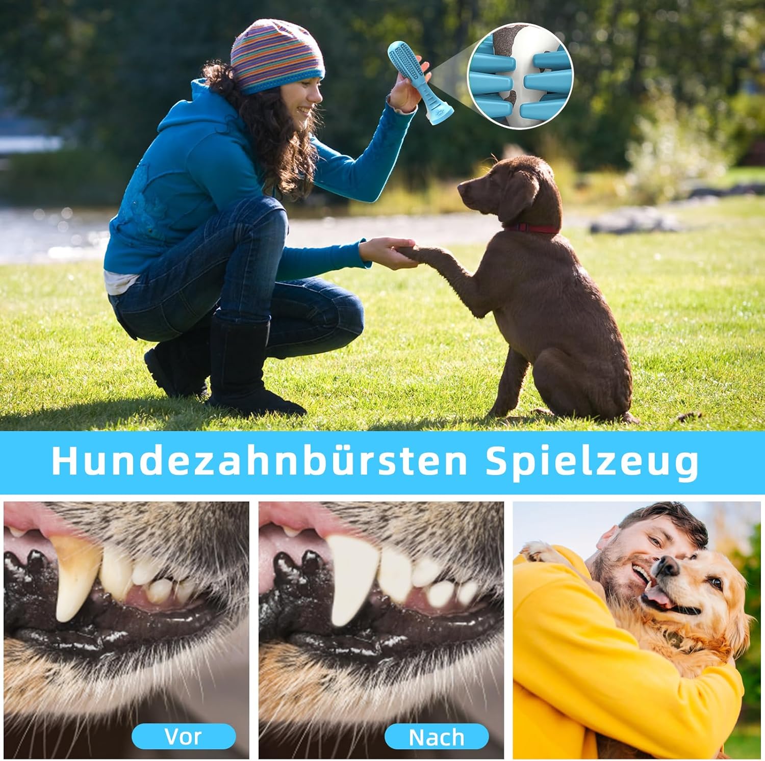 Detalle de HETOO Kauspielzeug für Welpen und mittelgroße Hunde – Naturkautschuk Zähne-Reiniger, blaue Schleifstange