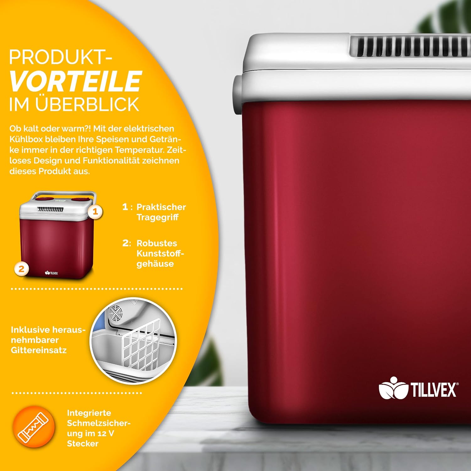 Detalle de tillvex Kühlbox elektrisch 32L – Mini-Kühlschrank 230 V & 12 V (Kühlen & Wärmen) mit ECO-Modus