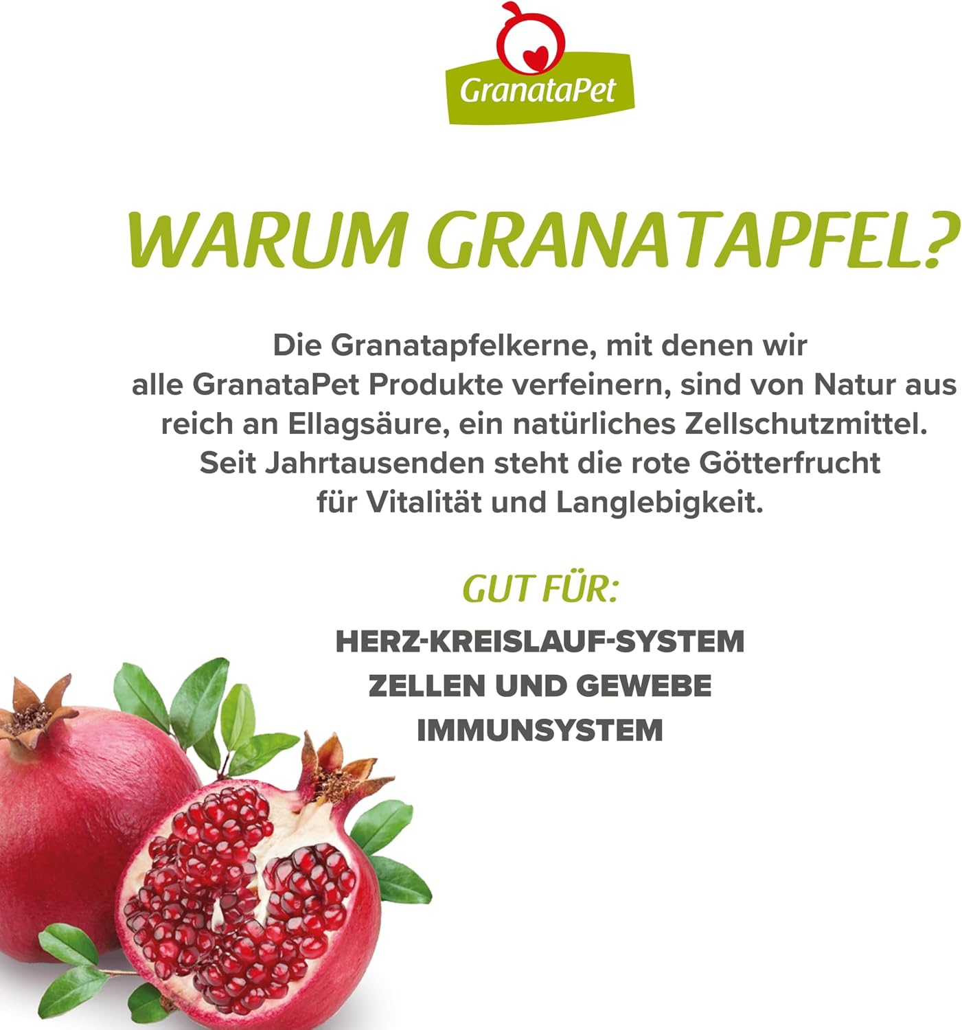 Detalle de GranataPet Delicatessen Multipack 2 PUR (2. Pack, 1 x 4,8 kg) Nassfutter für Katzen – getreidefrei & ohne Zuckerzusätze