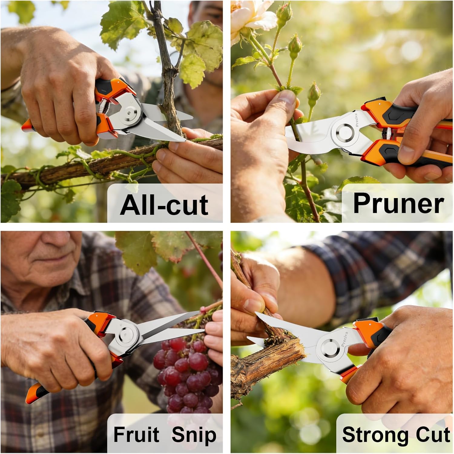 Thumbnail 6 de Preciva 4-in-1 Gartenschere mit austauschbarem Scherenkopf – inklusive Aufbewahrungsbox
