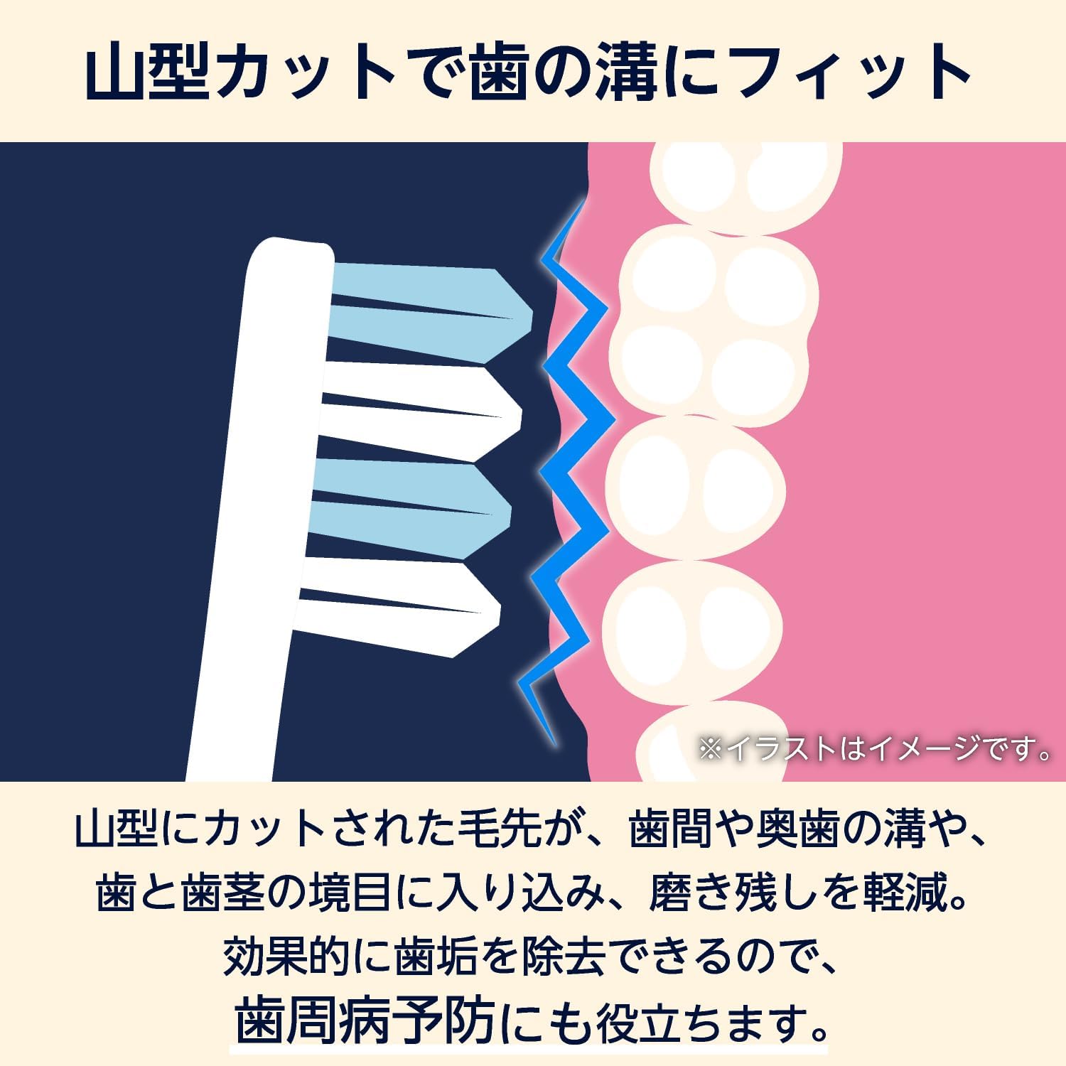 Detalle de by Amazon 山型カット歯ブラシ ふつう 12本セット、コンパクトヘッドの手磨き用