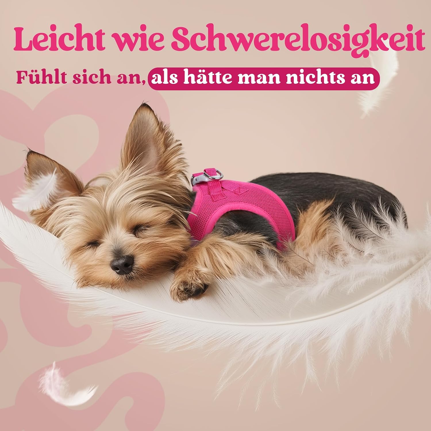 Detalle de rabbitgoo Hundegeschirr für kleine Hunde (XS) – Step-in Welpengeschirr mit weichem Mesh, atmungsaktiv & reflektierend