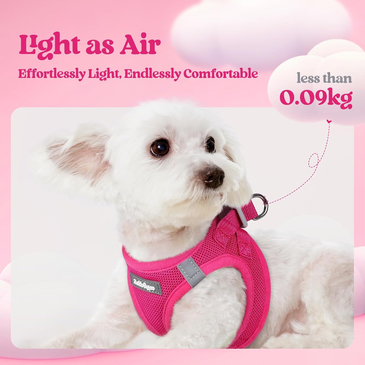 Thumbnail 2 de Rabbitgoo Small Dog Harness S Set