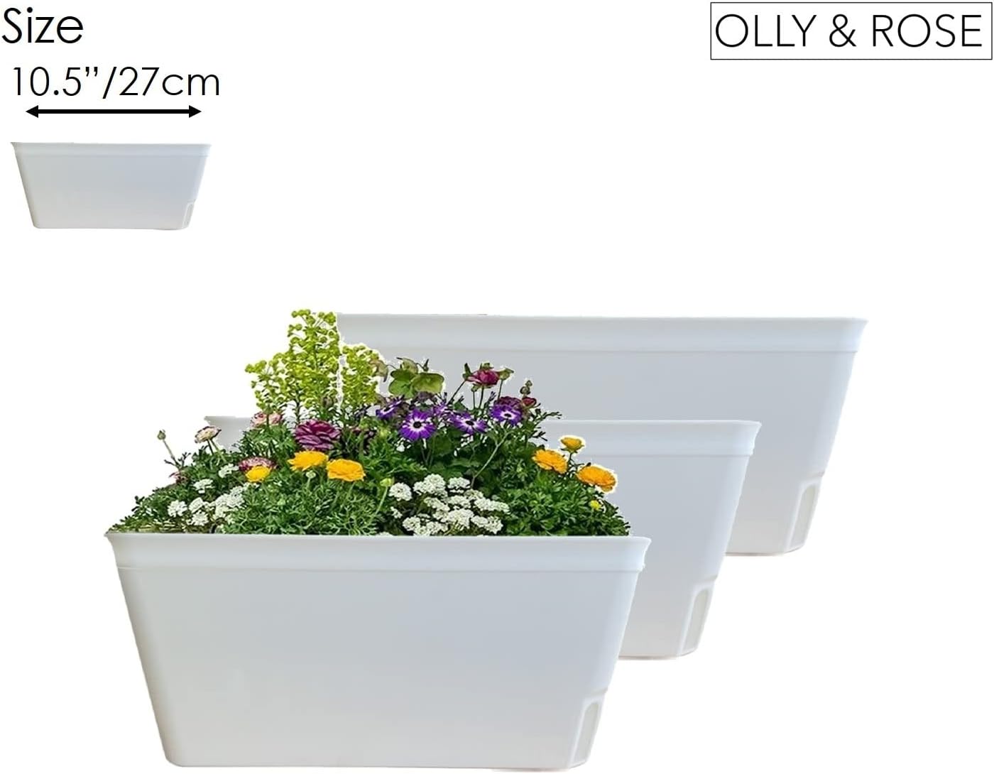 Thumbnail 5 de Olly & Rose Lazy Planters Self-Watering