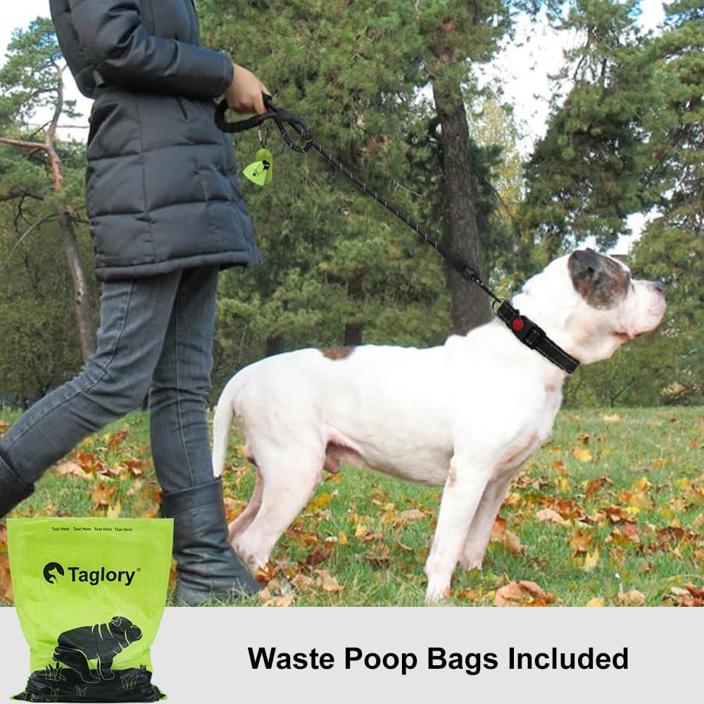 Thumbnail 1 de Taglory Rope Dog Lead 1.5 m with Padded Handle 🐕