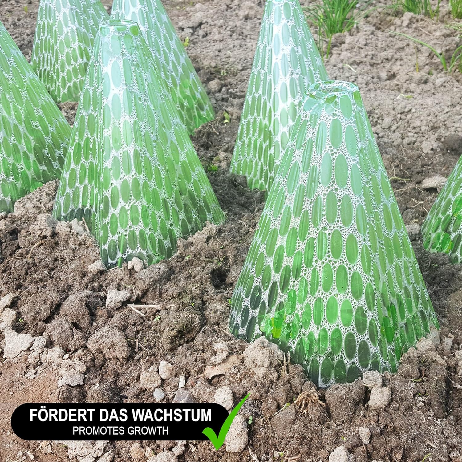 Thumbnail 2 de com-four® 24x Sonnenhut für Pflanzen – Pflanzenschutzhauben als Wachstumshilfe (23 cm hoch)