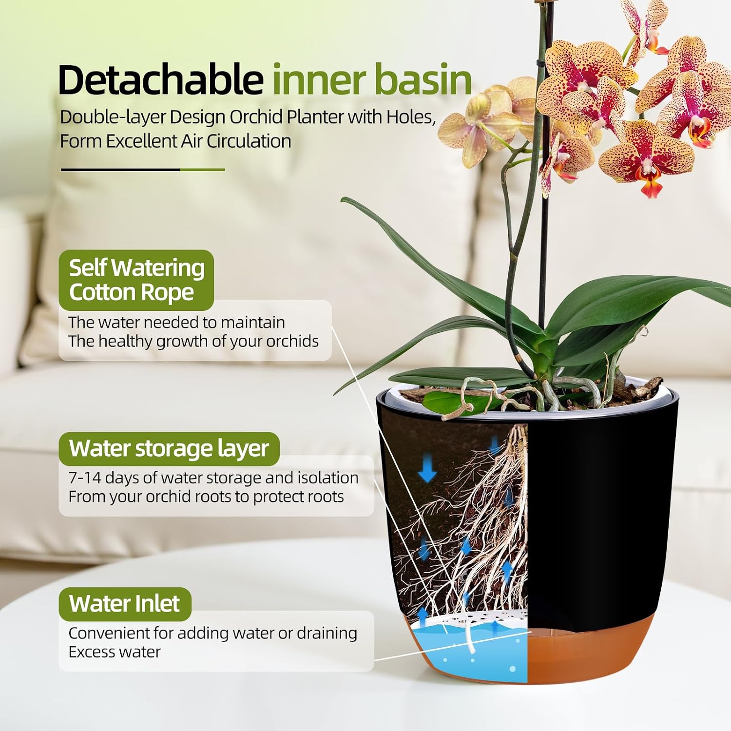 Thumbnail 3 de QCQHDU 2 Pack orchid pots 5.8 inch