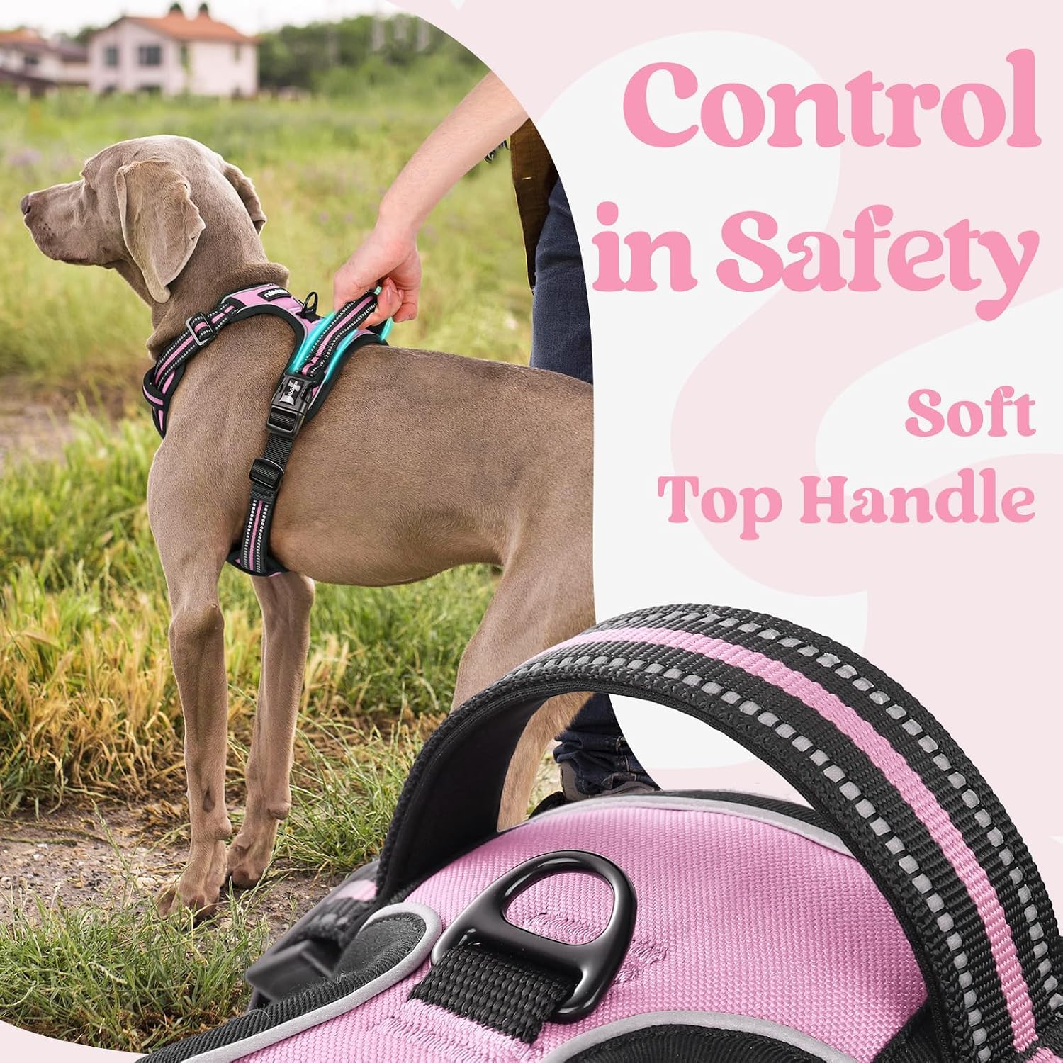 Thumbnail 4 de rabbitgoo Dog Harness XL