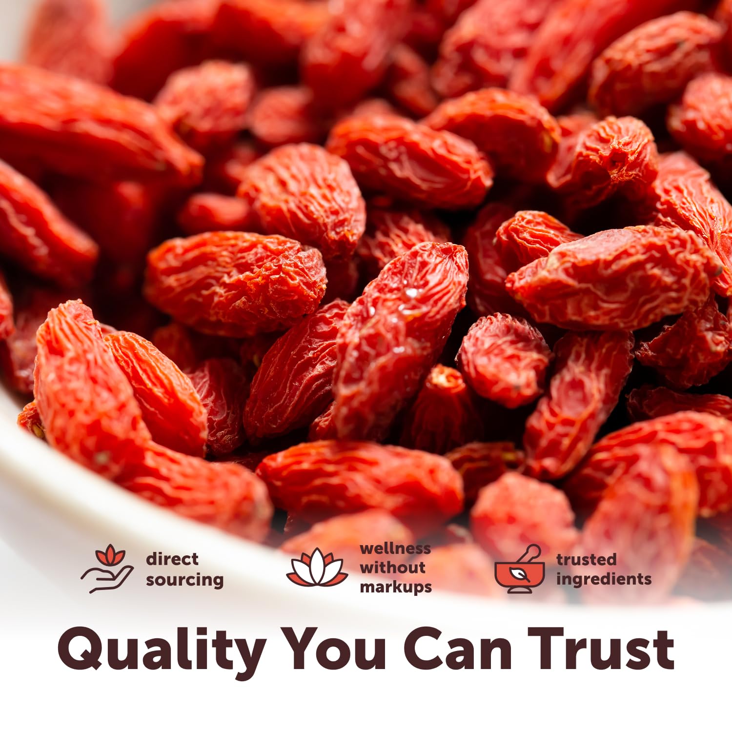 Thumbnail 4 de Micro Ingredients Goji Berries, 1 lb