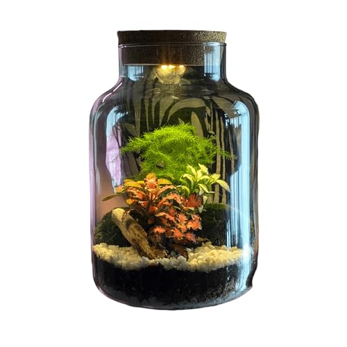 Detalle de Generic DIY Tall Light-Up Closed Terrarium Kit, 17cm x 25cm, LED