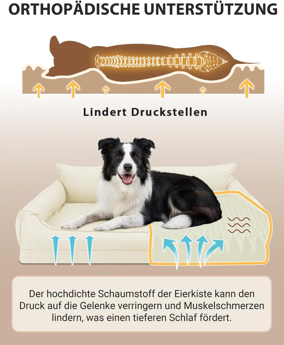 Thumbnail 2 de Favodormir Cuccia per cani da interno in ecopelle impermeabile con schiuma a uovo (taglia piccola) beige