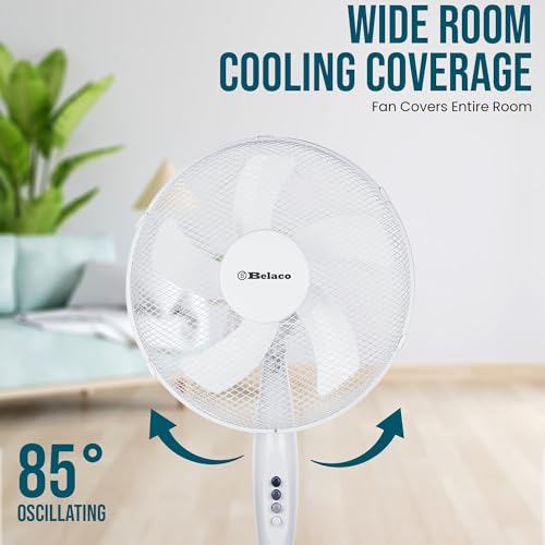 Detalle de Belaco 16 Inch Pedestal Fan with Oscillation and Adjustable Height