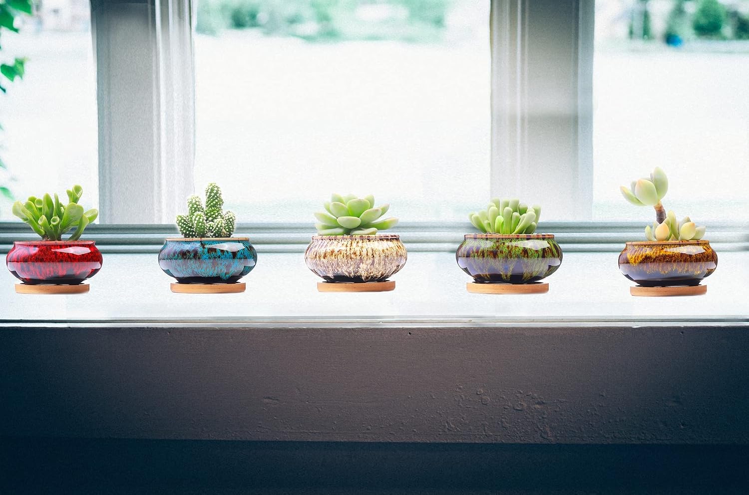 Detalle 2 de LamDawn Ceramic Succulent Planters, Set of 5 with Drainage Holes and Saucers