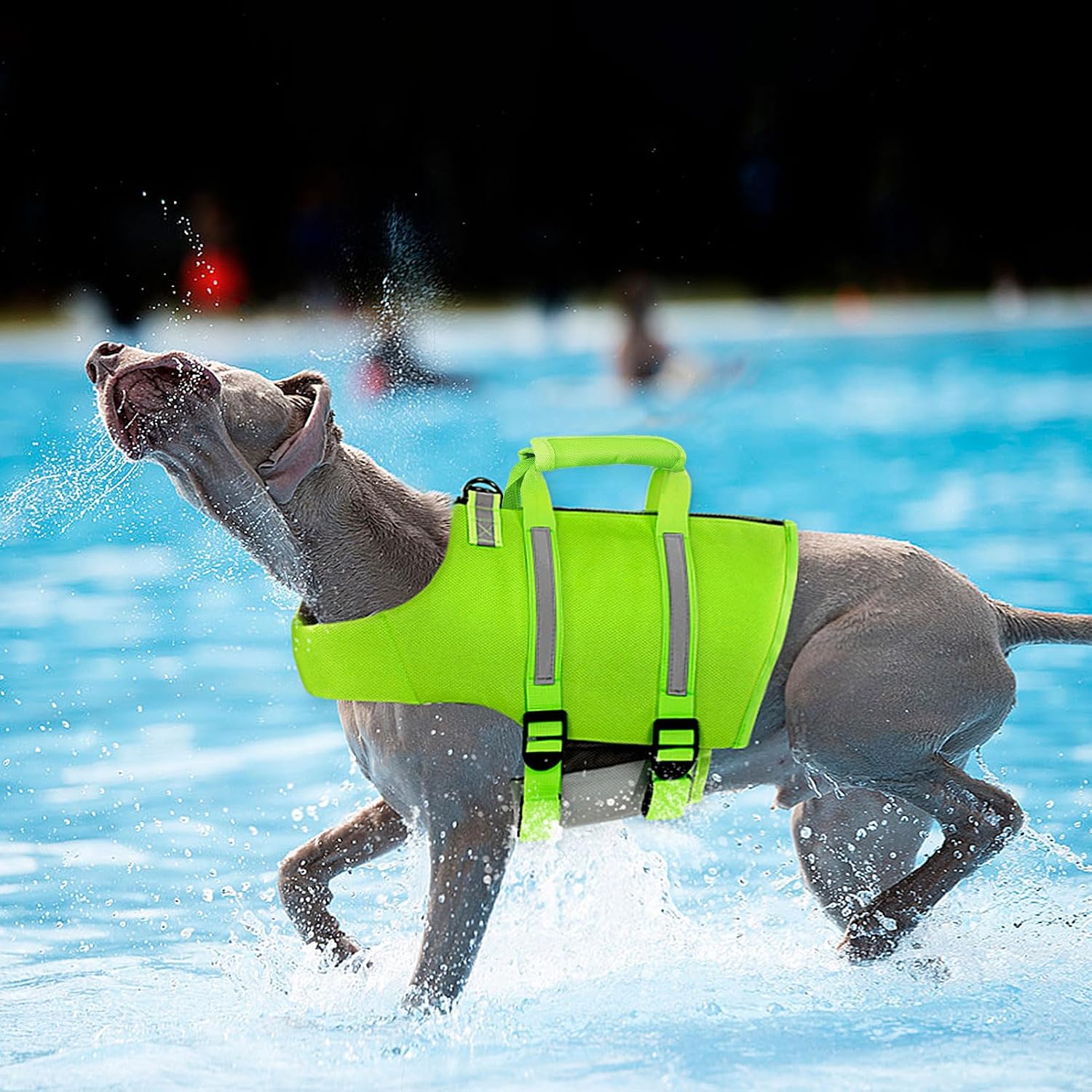Thumbnail 2 de Queenmore Dog Life Jacket Size S