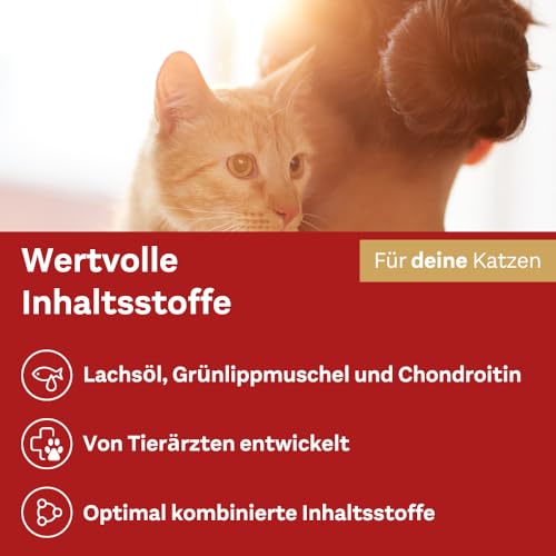 Detalle de Doppelherz Gelenk Complex für Katzen – Cremige Licks mit Omega‑3, Grünlippmuschel und Chondroitin