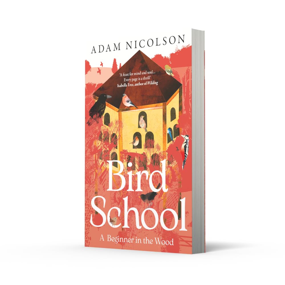 Detalle 2 de Bird School: A Beginner in the Wood – książka o ptakach i przyrodzie