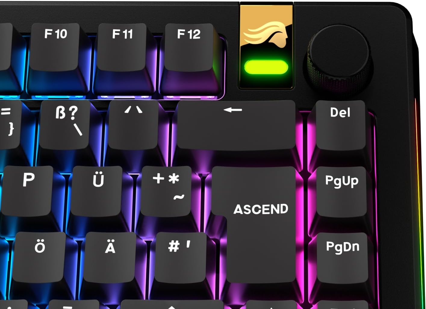 Detalle de Glorious Gaming - Tasti GPBT Basics (Classic Black), 8 colori, PBT Doubleshot per tastiere meccaniche, layout QWERTZ tedesco