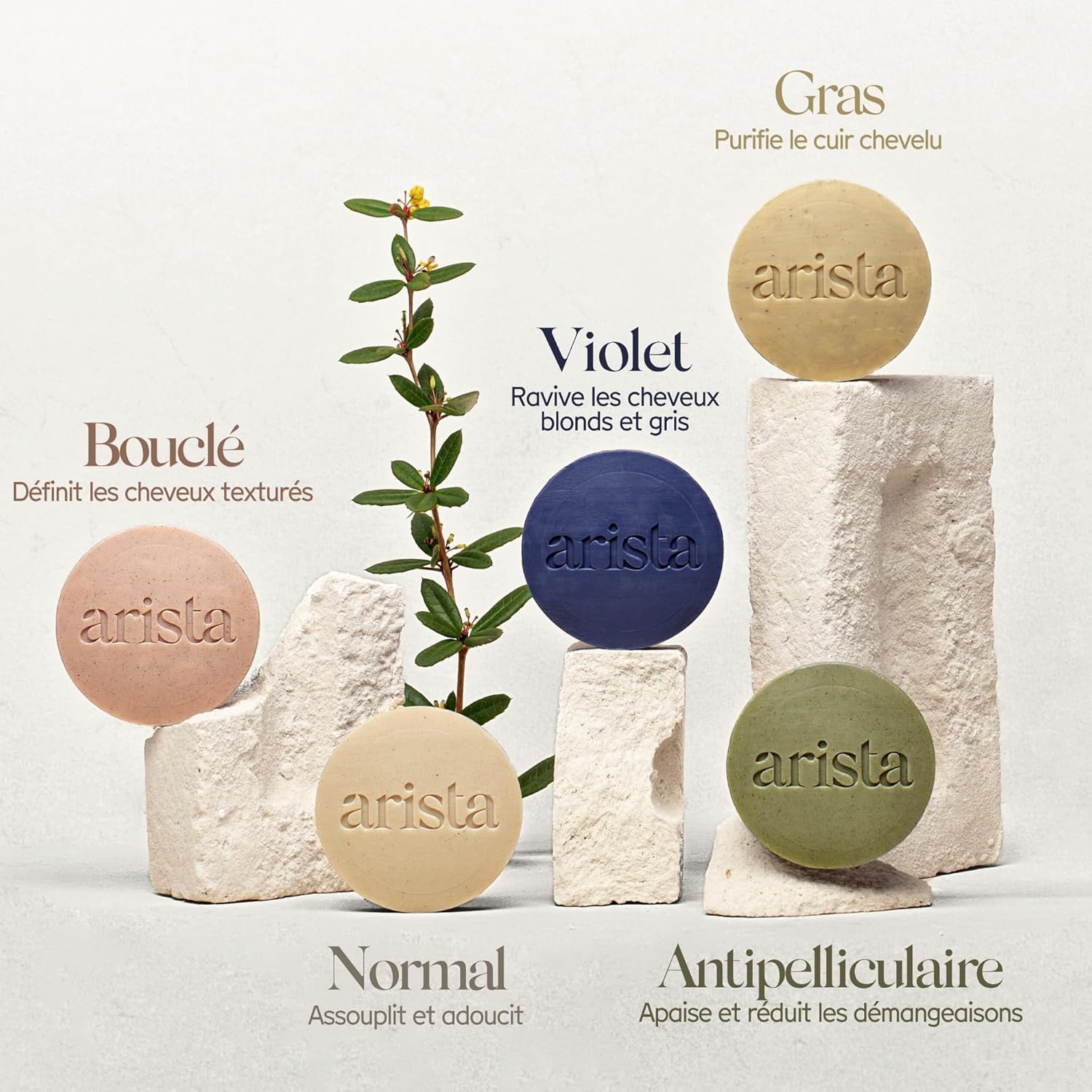 Thumbnail 6 de Arista Shampoing solide antipelliculaire Tea Tree, Neem & Arnica (sans sulfate, vegan)