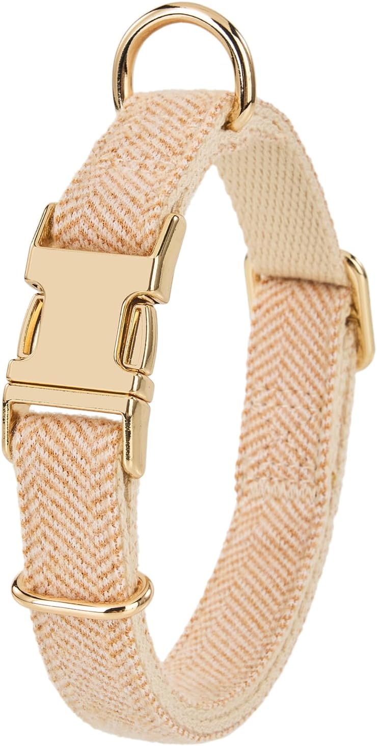 Thumbnail 6 de Petiry Tweed Herringbone Dog Collar with Metal Buckle for Small Dogs (25–38 cm) – Grey
