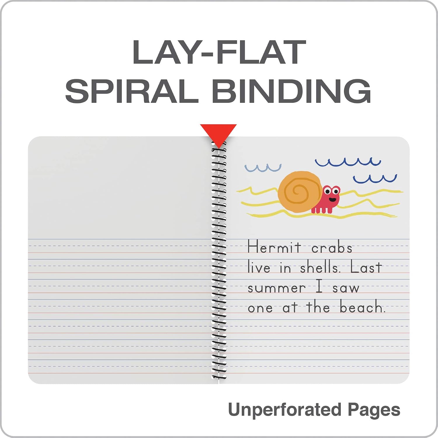 Detalle de Oxford Primary Spiral Notebooks, 80 Sheets