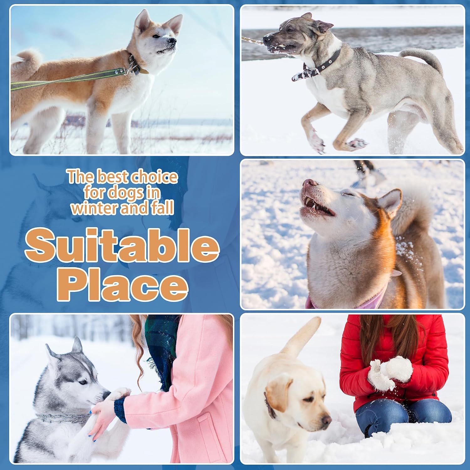 Thumbnail 6 de Dog Coat, Reversible