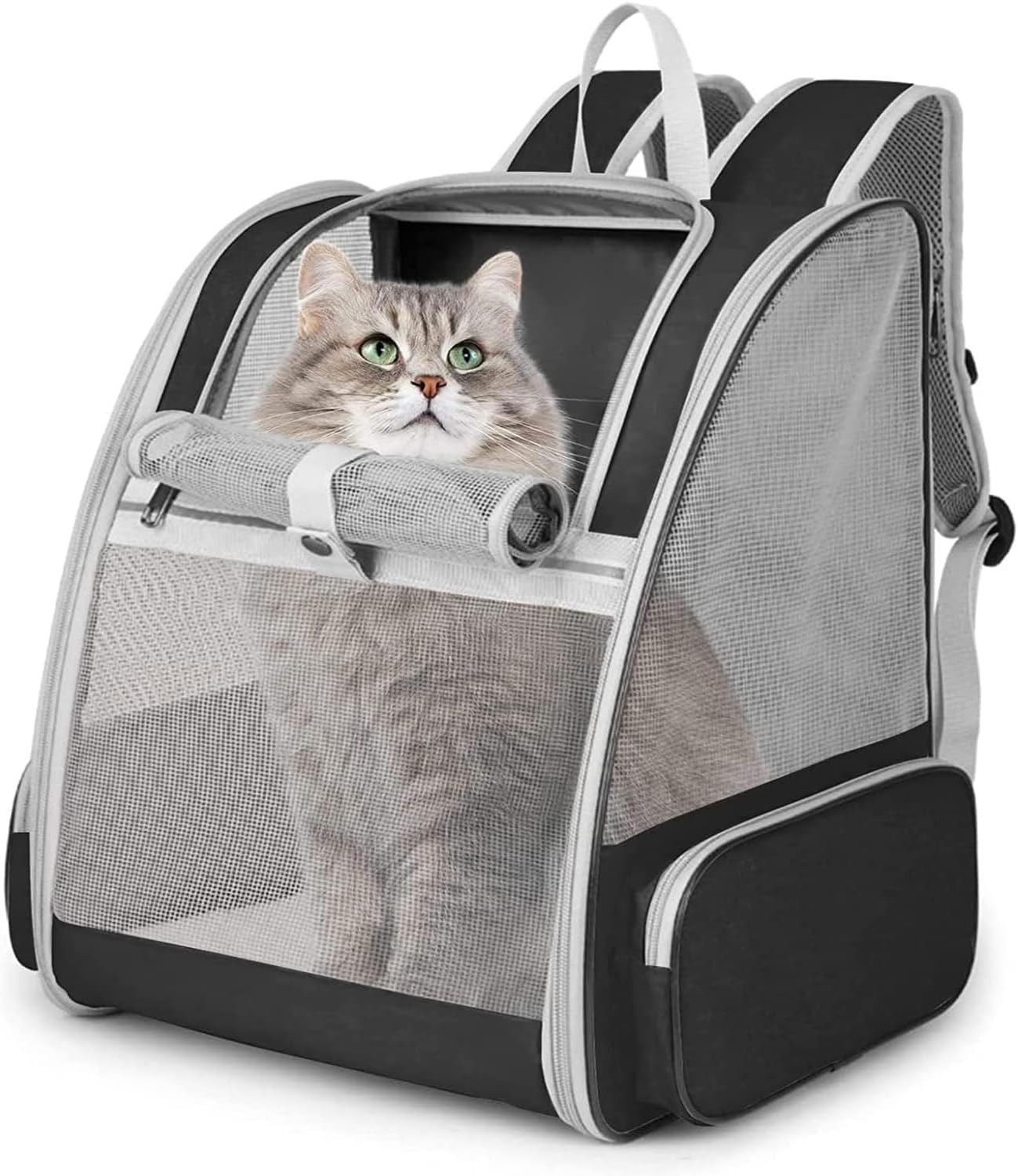 Detalle de Hykiee Hunderucksack Katzenrucksack – Transportbox für Kleine Hunde bis 6 kg oder Katzen bis 8 kg