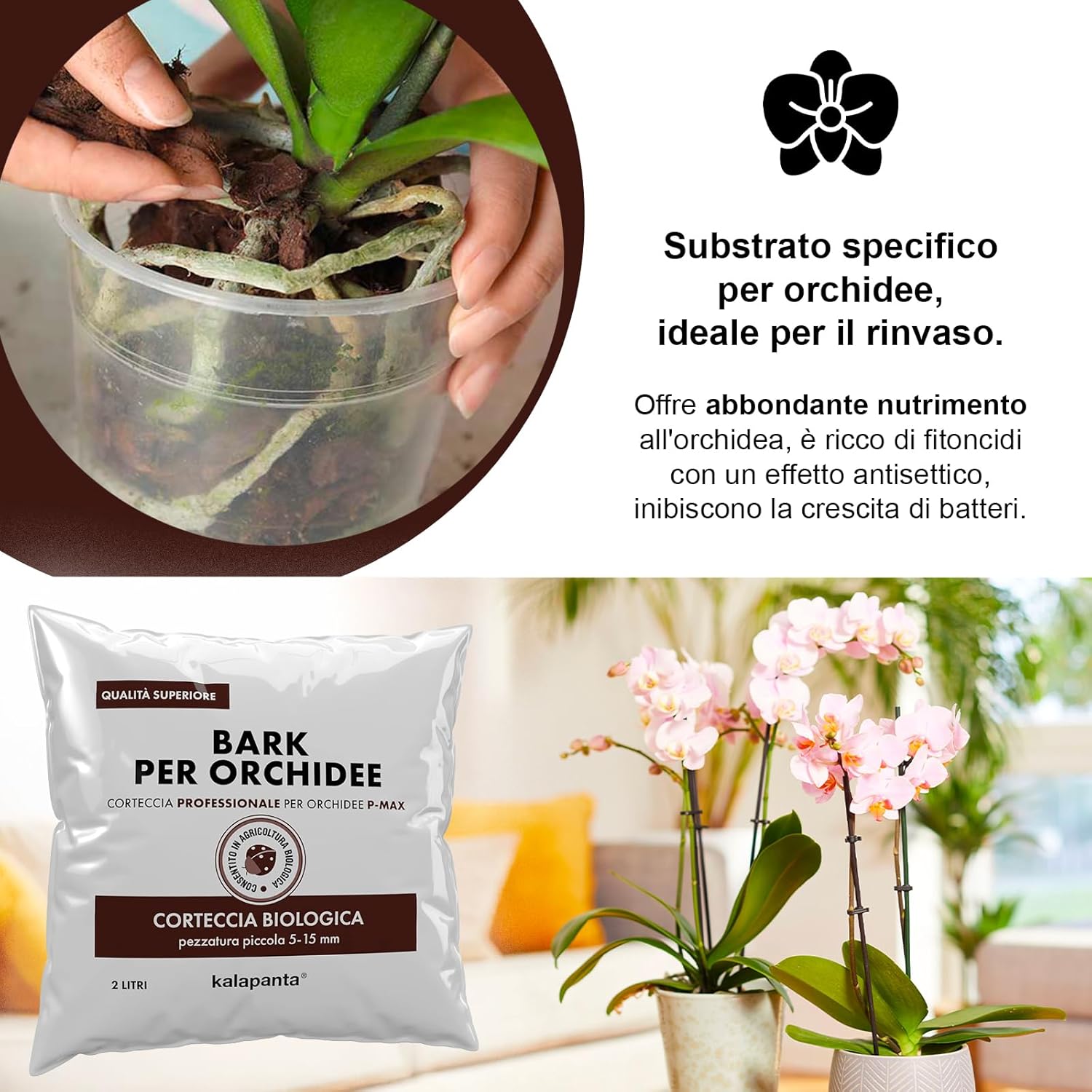 Thumbnail 3 de Kalapanta Bark Per Orchidee Linea Professionale, 2 Litri – Substrato in Corteccia di Pino Marittimo 100% Naturale