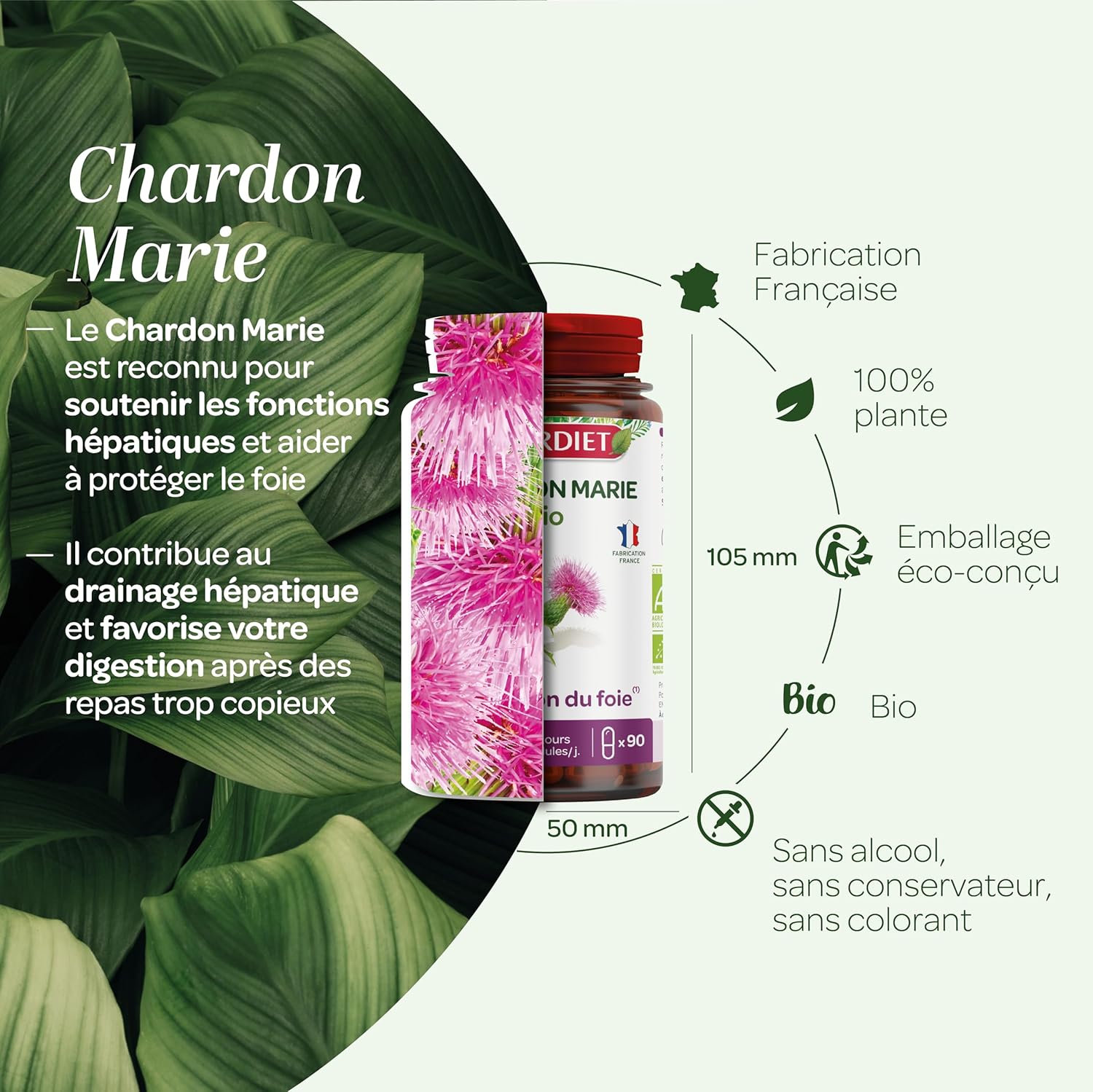 Detalle de SUPERDIET CHARDON MARIE BIO 90 gĂ©lules đ
