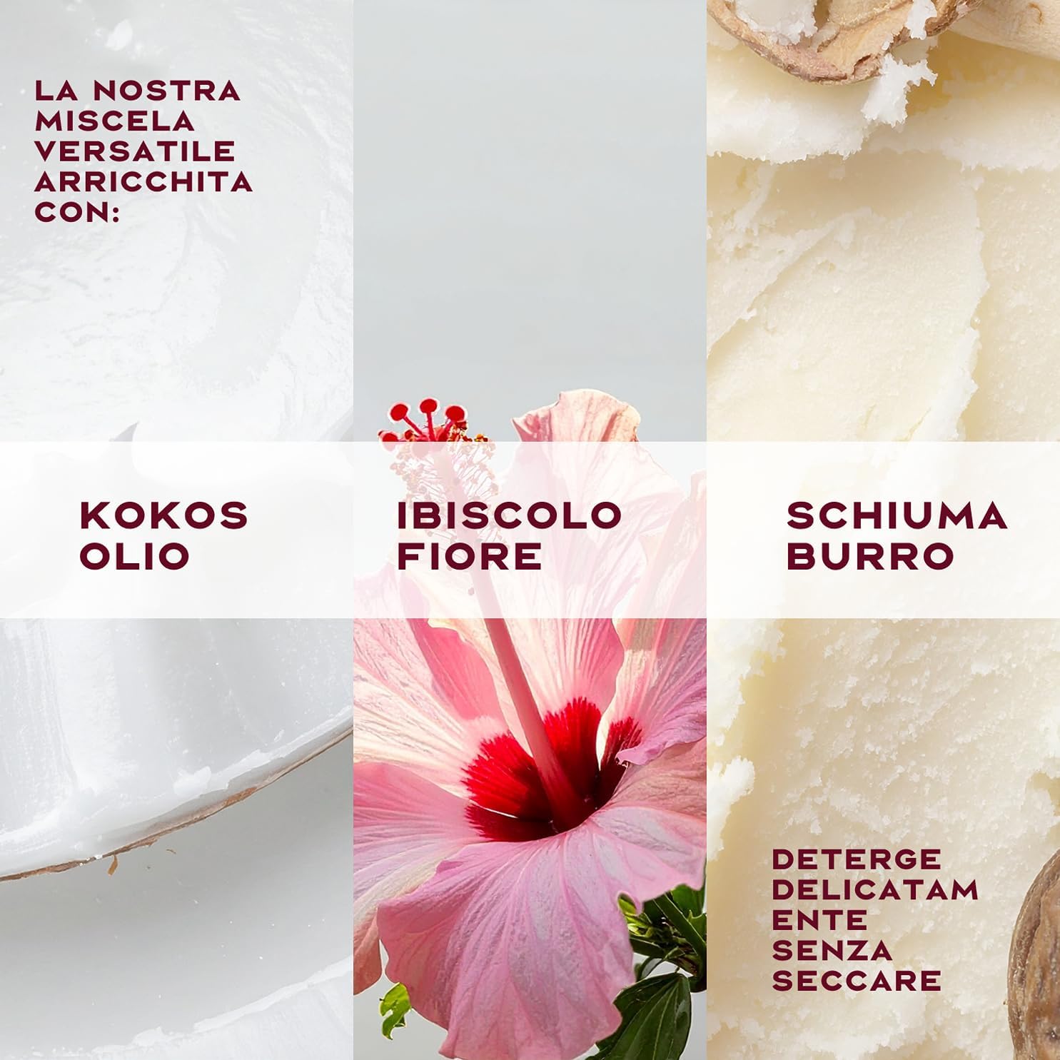 Thumbnail 2 de Shea Moisture Shampoo Curl & Shine 384 ml – Definizione Ricci e Lucentezza con Cocco e Ibisco